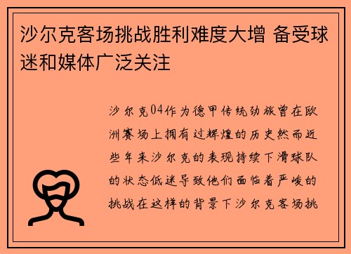沙尔克客场挑战胜利难度大增 备受球迷和媒体广泛关注