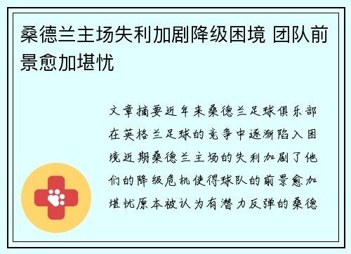 桑德兰主场失利加剧降级困境 团队前景愈加堪忧