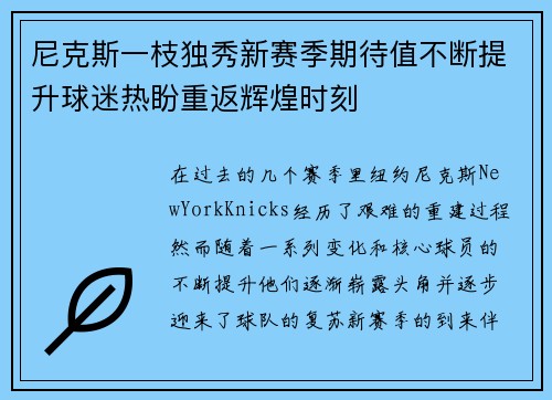 尼克斯一枝独秀新赛季期待值不断提升球迷热盼重返辉煌时刻