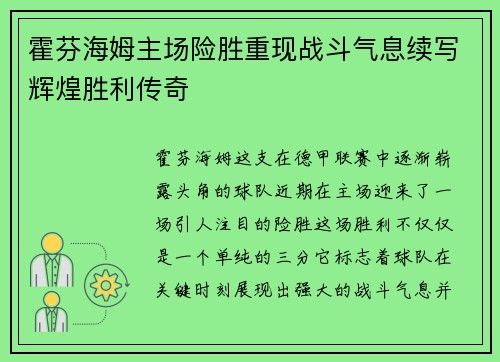 霍芬海姆主场险胜重现战斗气息续写辉煌胜利传奇