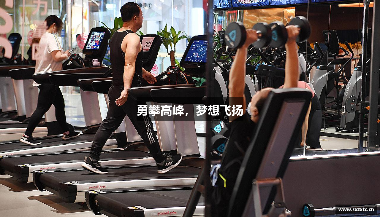 九游娱乐网站勇攀高峰，梦想飞扬